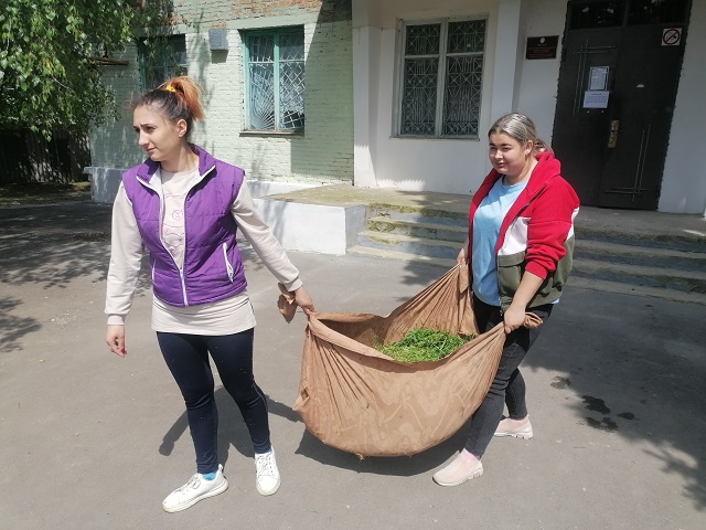subbotnik 2